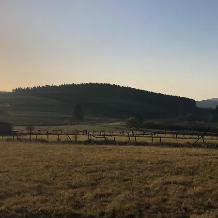 Ferienhaus Kustelliebe Medebach