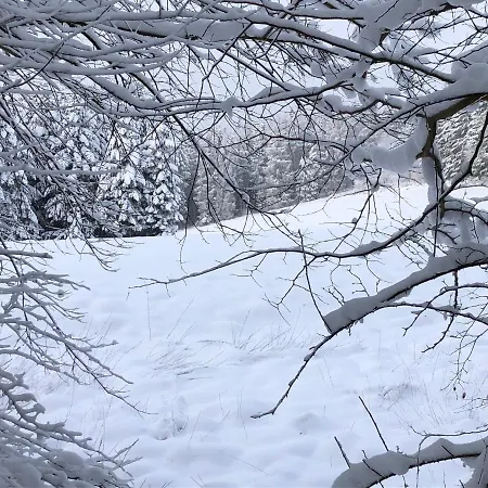 Ferienhaus Kustelliebe *